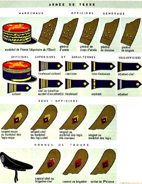 Grades militaires : Planche des grades dans l'armée