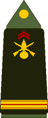 Grade militaire : Adjudant-chef