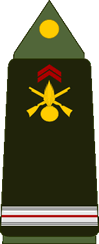 Grade militaire : Adjudant