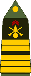Grade militaire : Colonel