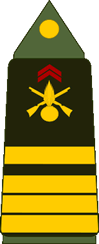 Grade militaire : Commandant