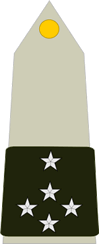 Grade militaire : Général d'armée