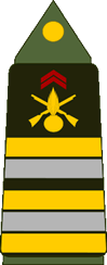 Grade militaire : Lieutenant-colonel