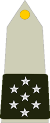 Grade militaire : Maréchal de France